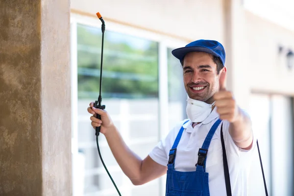 Ennis Wasp Removal