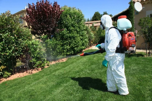 Ennis Mosquito Control