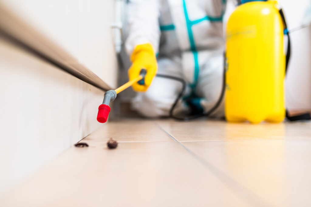 Ennis Cockroach Experts