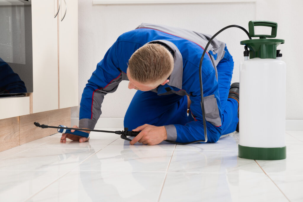 Ennis Ant Control Xperts