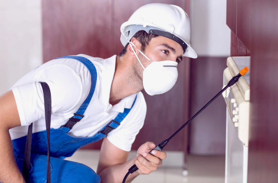 Ennis local pest services