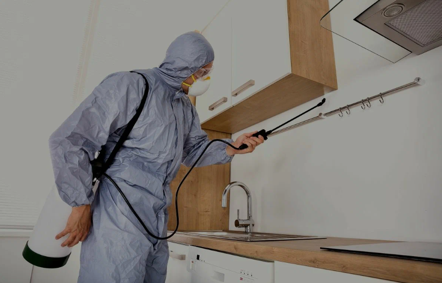 Ennis pest managment