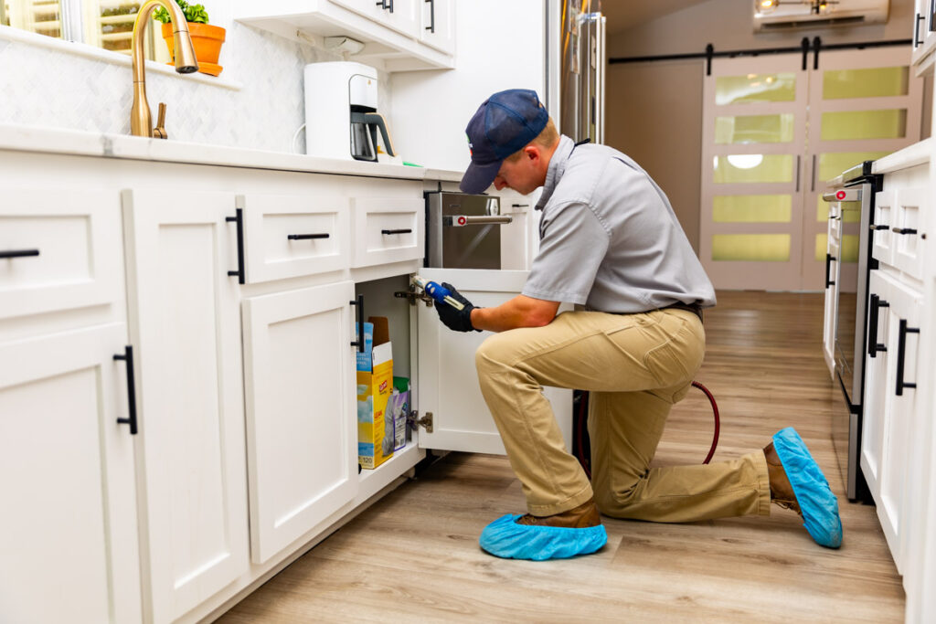 Ennis xpert pest management